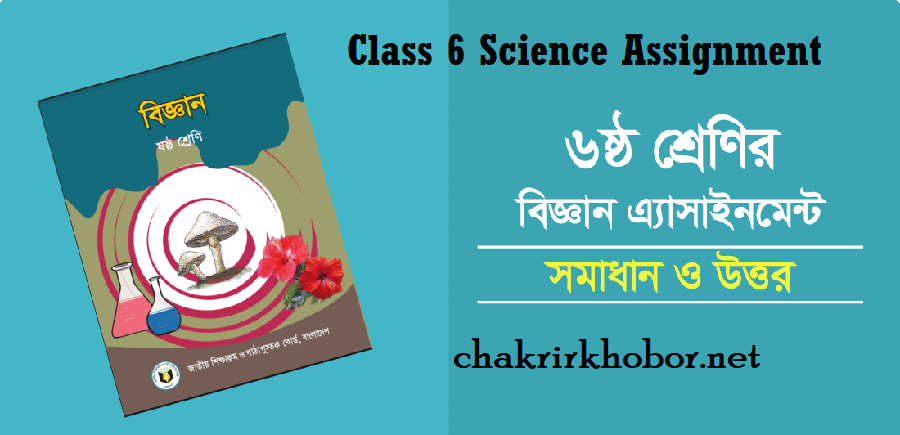class 6 science assignment